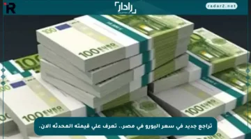 تراجع جديد في سعر اليورو في مصر.. تعرف على قيمته المحدثة الآن.